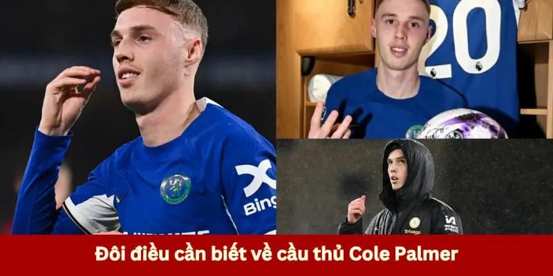 Giới thiệu tiểu sử của chân sút Palmer